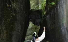 三伏天適不適合減重？縮略圖
