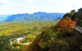 秋染草川子｜山林盡染，遇見(jiàn)寧強(qiáng)美麗秋色縮略圖
