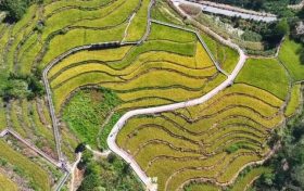 當(dāng)?shù)纠巳窘?，佛坪的秋天便?xiě)滿山野詩(shī)意縮略圖