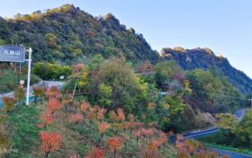 秦巴深山秋正好，登草川子九鼎山賞彩林、探石林縮略圖