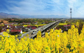 全省唯一！“最美油菜花海漢中旅游文化節(jié)”入選全國(guó)優(yōu)秀典型案例縮略圖