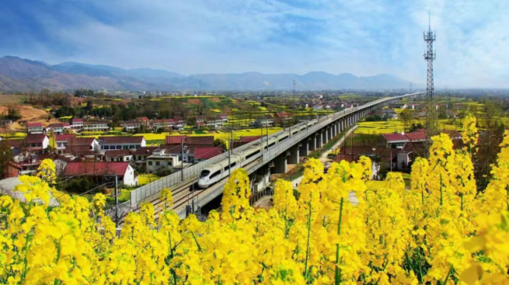 全省唯一！“最美油菜花海漢中旅游文化節(jié)”入選全國(guó)優(yōu)秀典型案例縮略圖